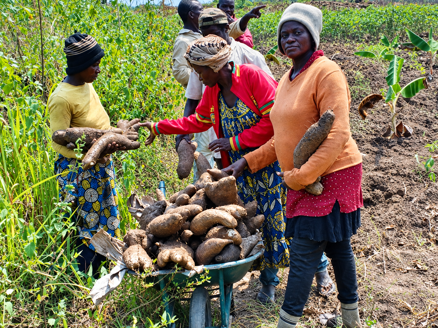 Journée mondiale de l’alimentation 2026 : en Afrique centrale, les producteurs ont des solutions
