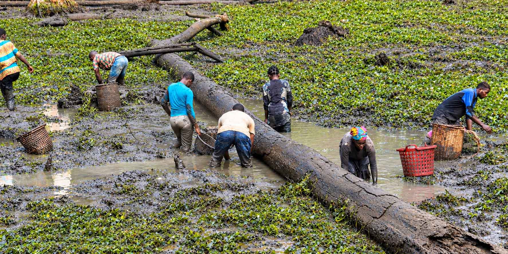Pêche dans un étang piscicole