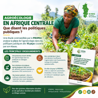 Agroécologie en Afrique centrale : une étude de la PROPAC identifie les leviers et les obstacles à son intégration